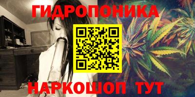 ПСИЛОЦИБИНОВЫЕ ГРИБЫ Среднеуральск